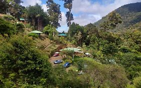 Las Cataratas Lodge